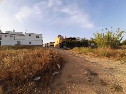 Mairena Del Alcor Campiña De Carmona lägenhet foto 6273014