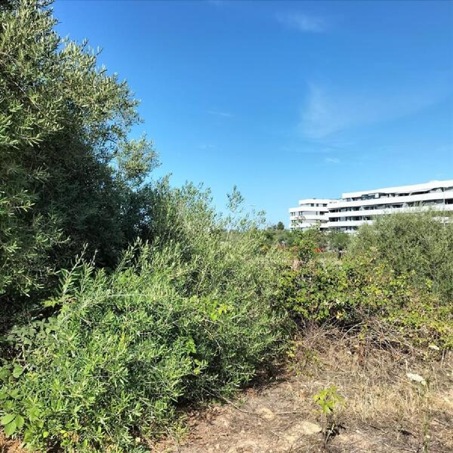  te koop appartement Mairena Del Aljarafe Metropolitana De Sevilla 6