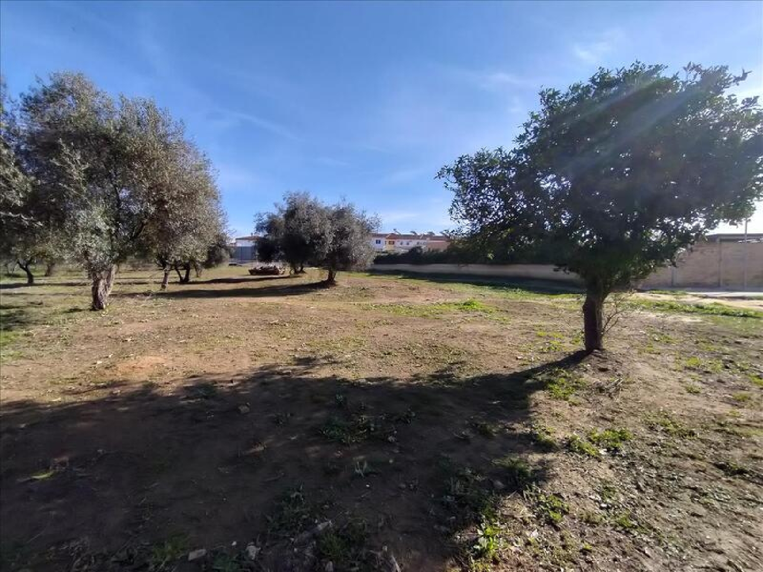  te koop appartement Mairena Del Aljarafe Metropolitana De Sevilla 4