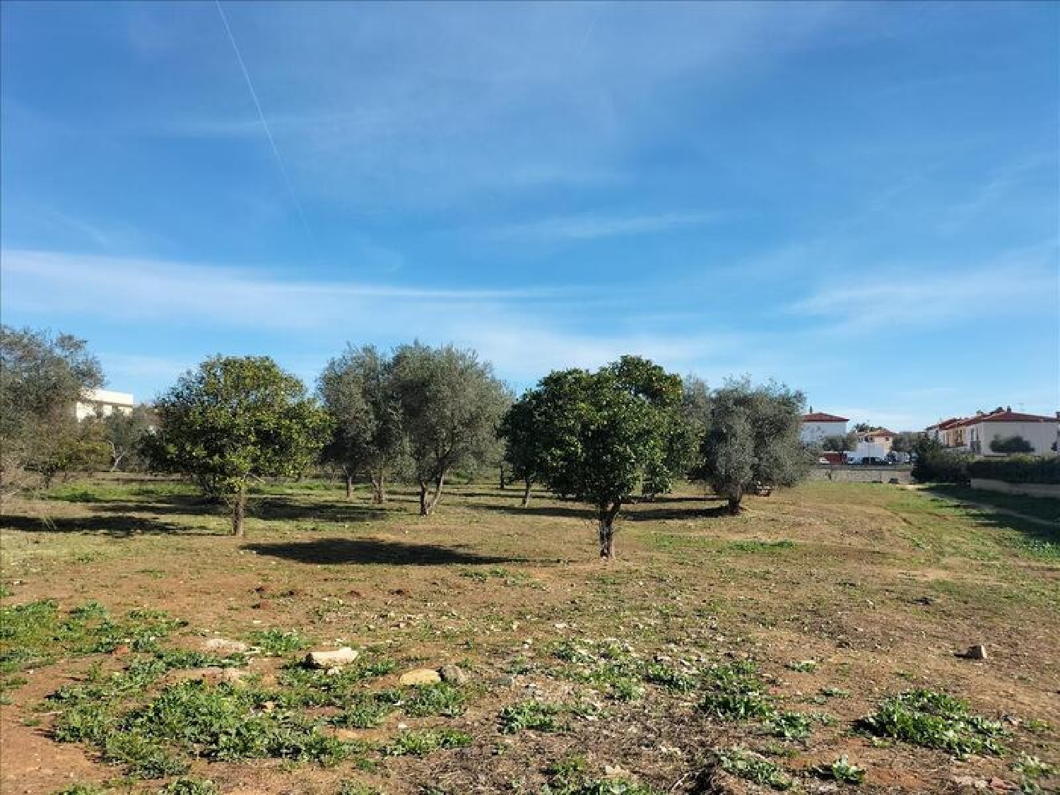  te koop appartement Mairena Del Aljarafe Metropolitana De Sevilla 7