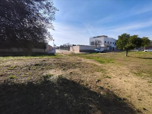 Mairena Del Aljarafe Metropolitana De Sevilla lägenhet foto 6273075