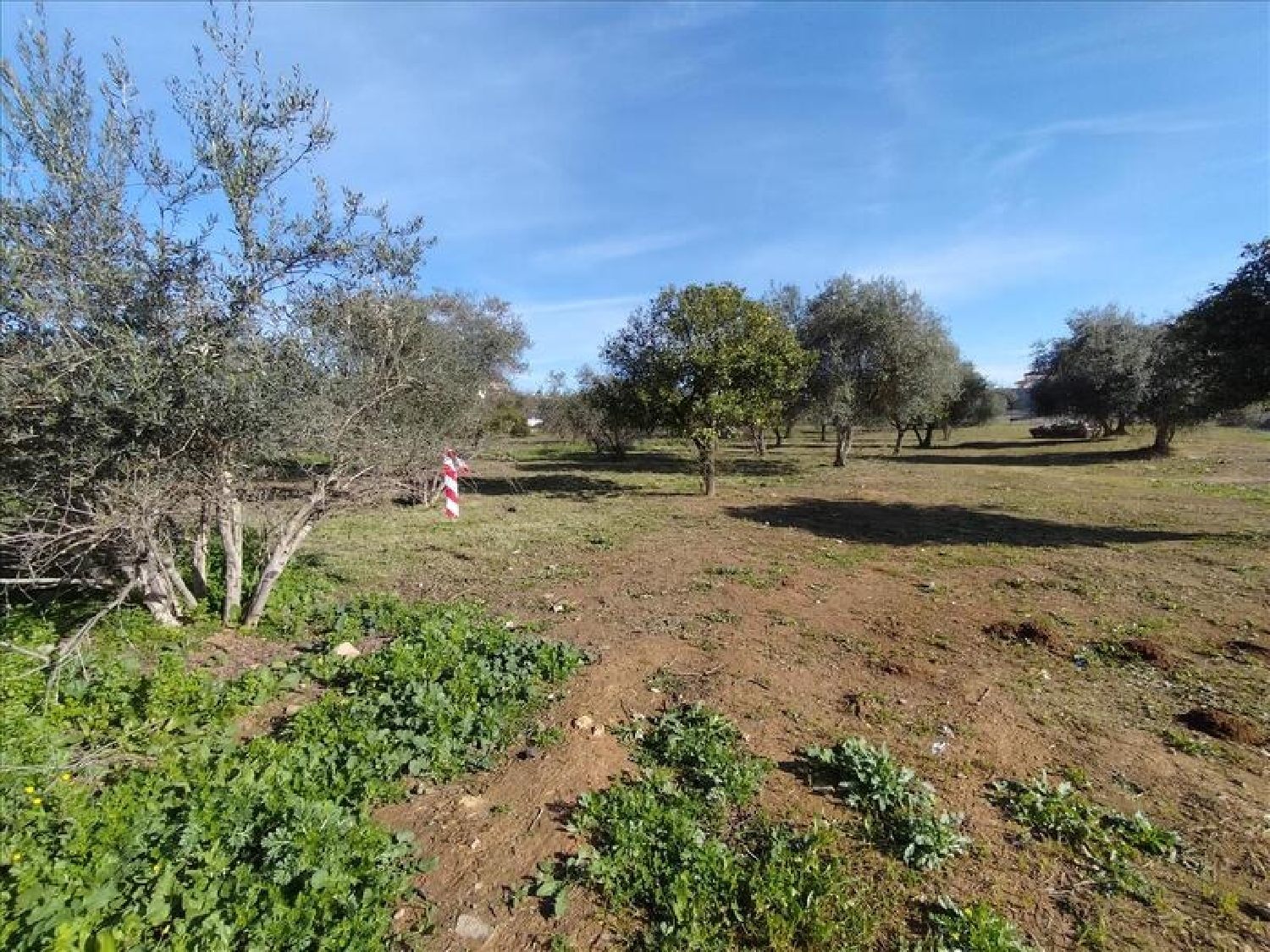  te koop appartement Mairena Del Aljarafe Metropolitana De Sevilla 5