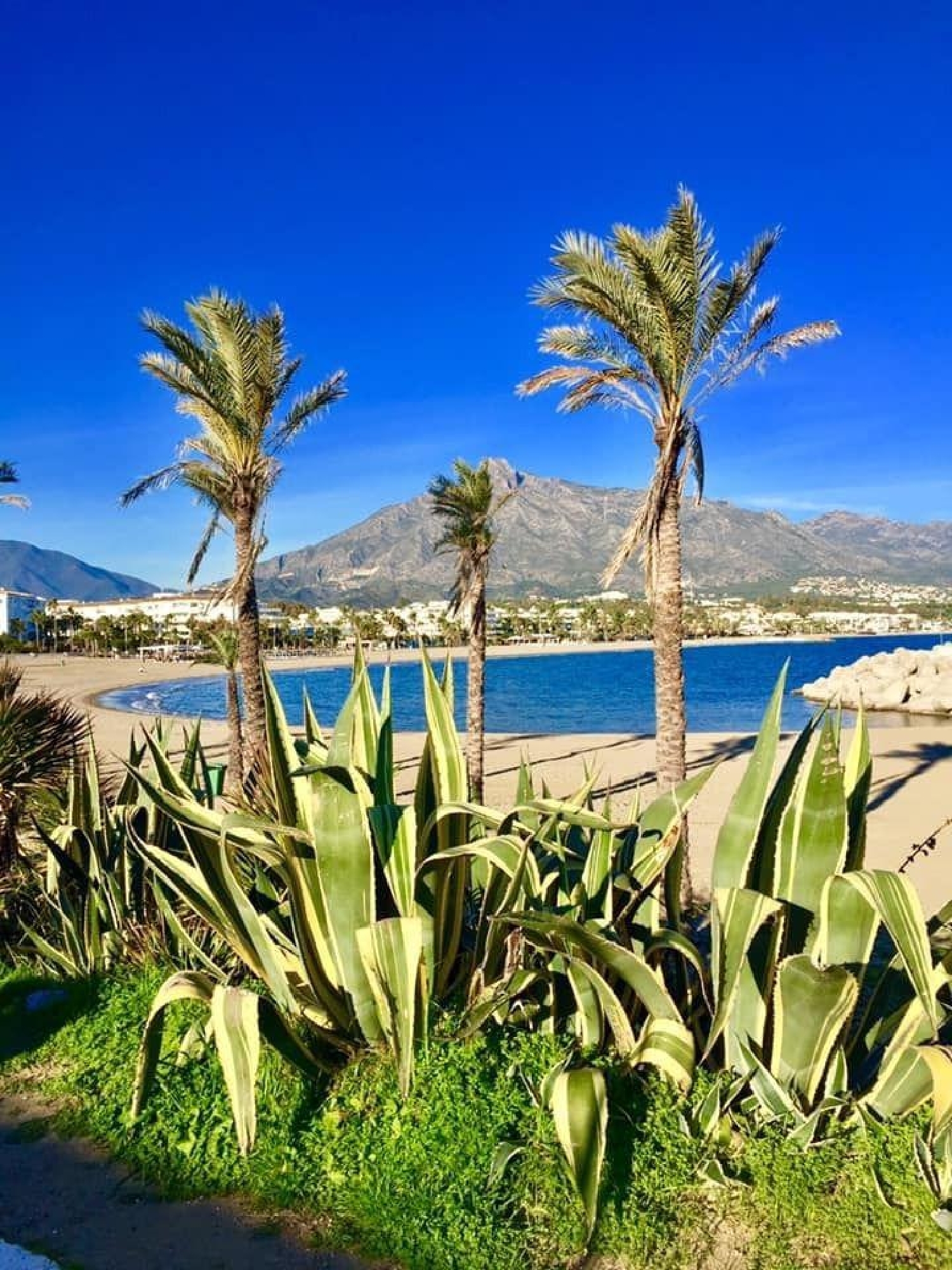  till salu lägenhet Marbella Costa Del Sol Occidental 7