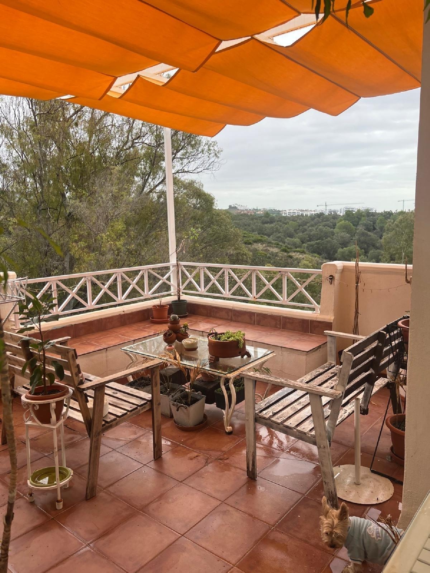  à vendre appartement Marbella Costa Del Sol Occidental 1