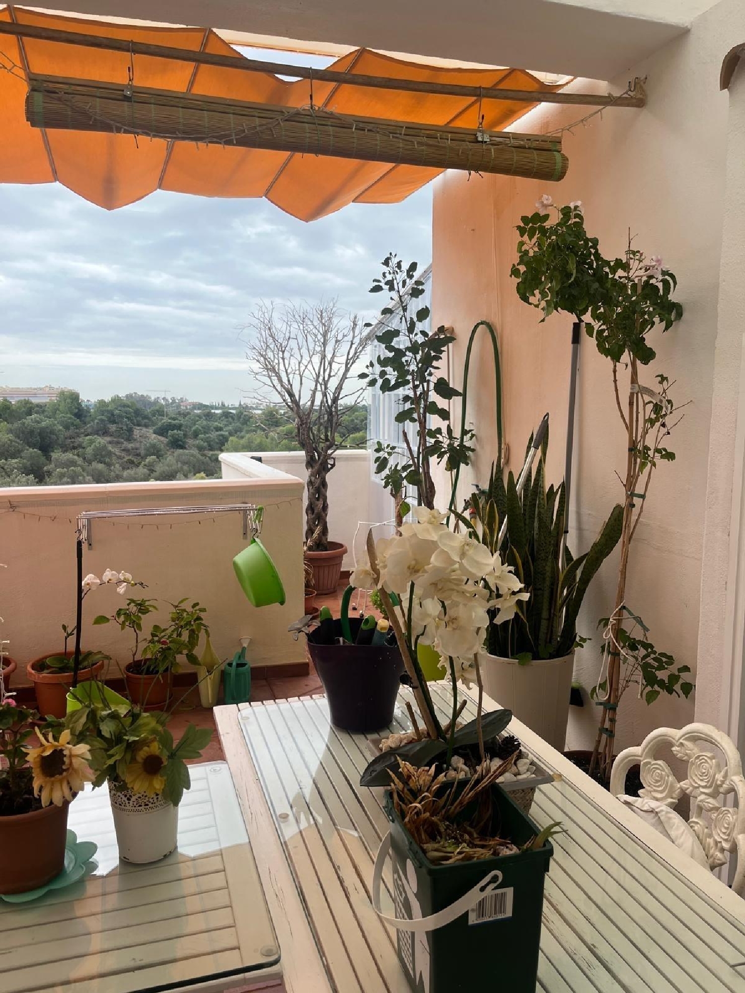  à vendre appartement Marbella Costa Del Sol Occidental 4