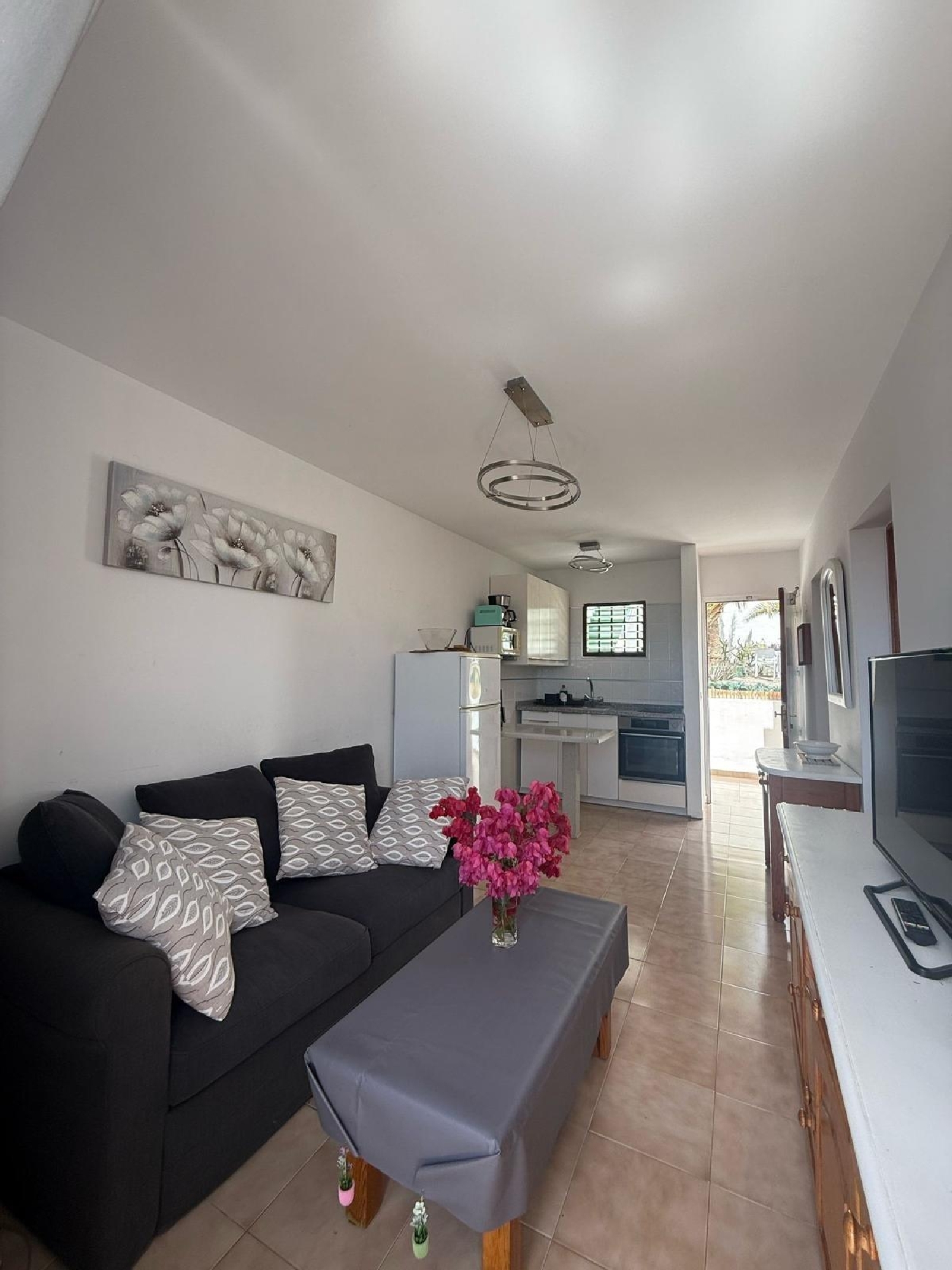  à vendre appartement Mogán Área Sur 8