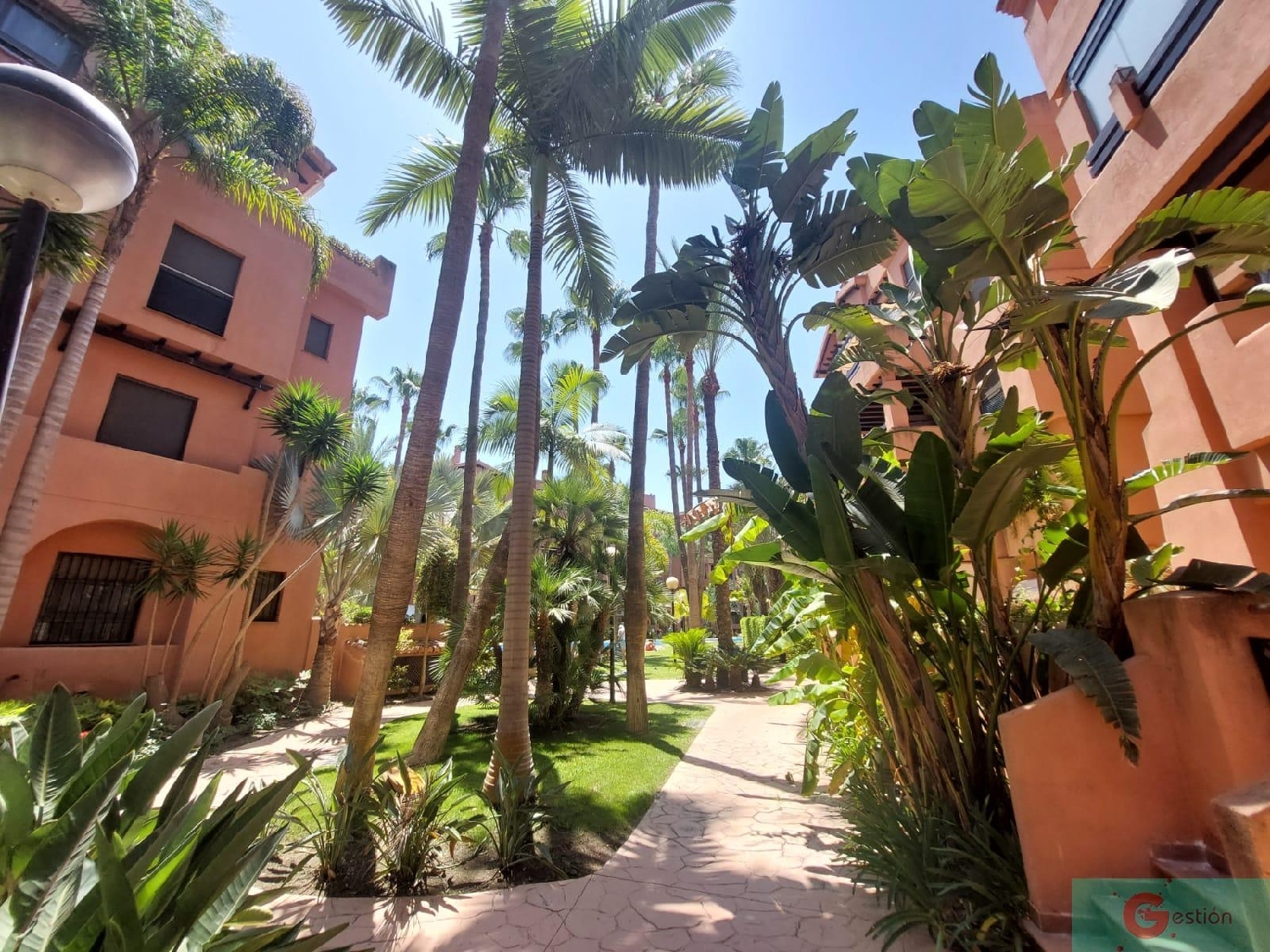  en venta apartamento Motril Costa Tropical 5