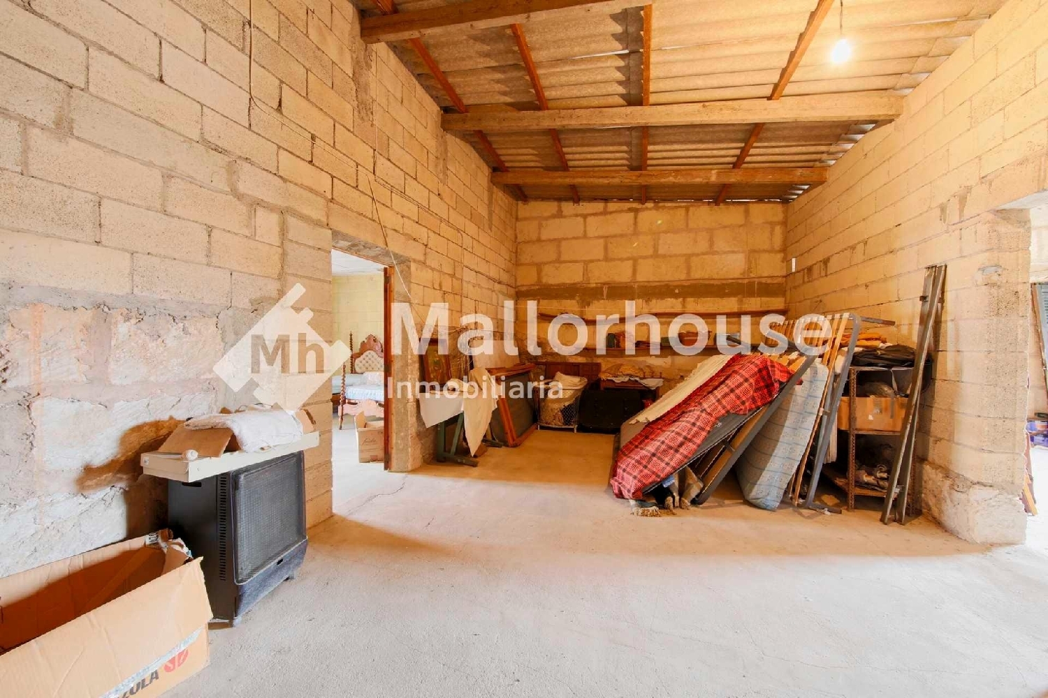  te koop appartement Muro Nord 5