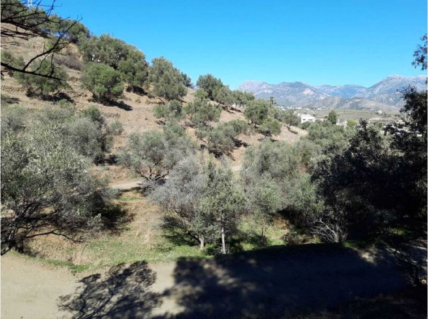  te koop appartement Nerja Axarquía 8