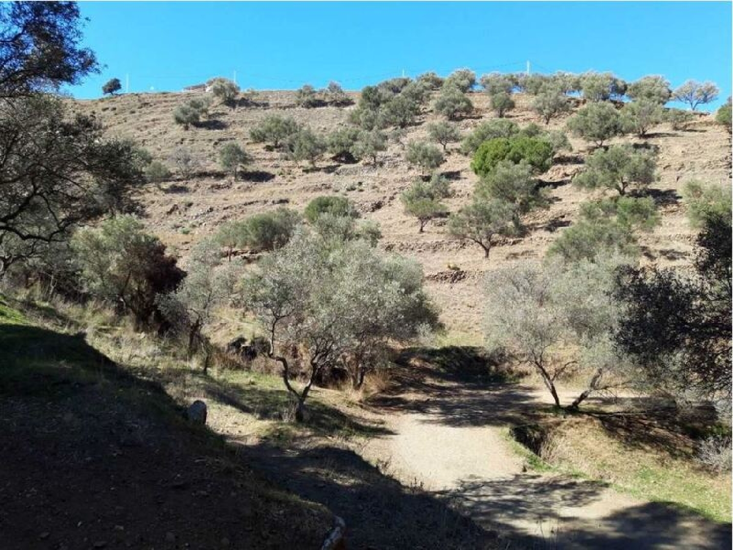  te koop appartement Nerja Axarquía 7