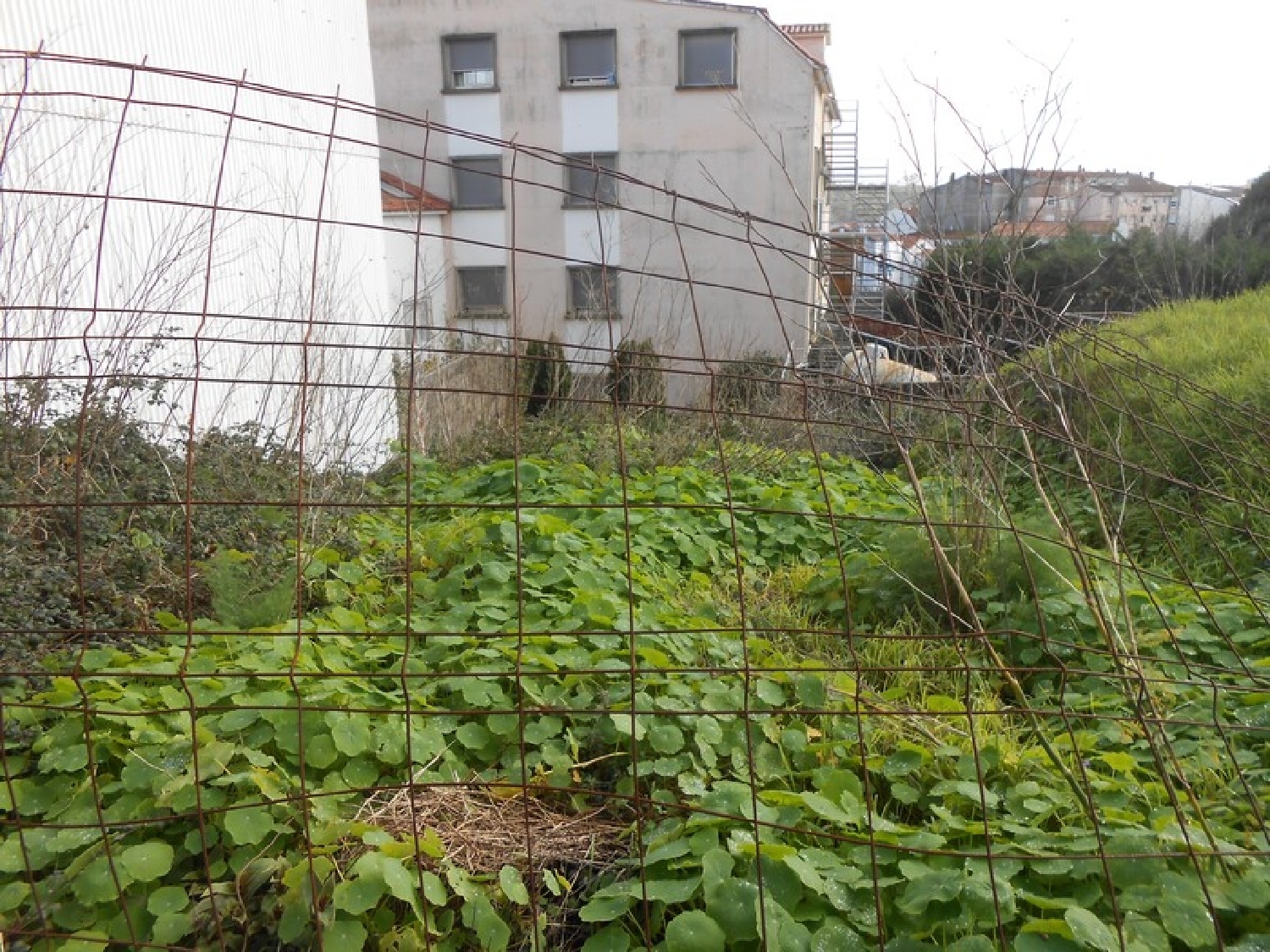  te koop appartement O Grove Salnés 2