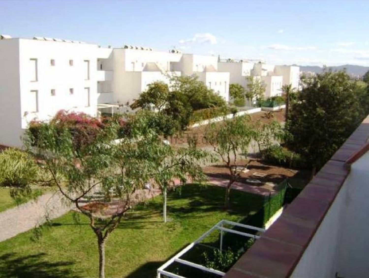  en venta apartamento Palmeria Marina Alta 2