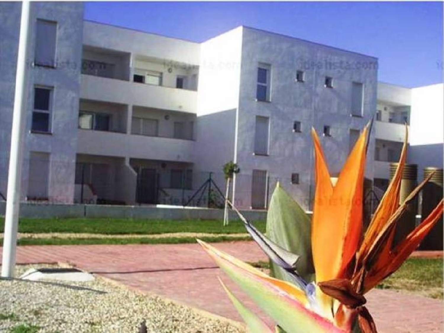  en venta apartamento Palmeria Marina Alta 1
