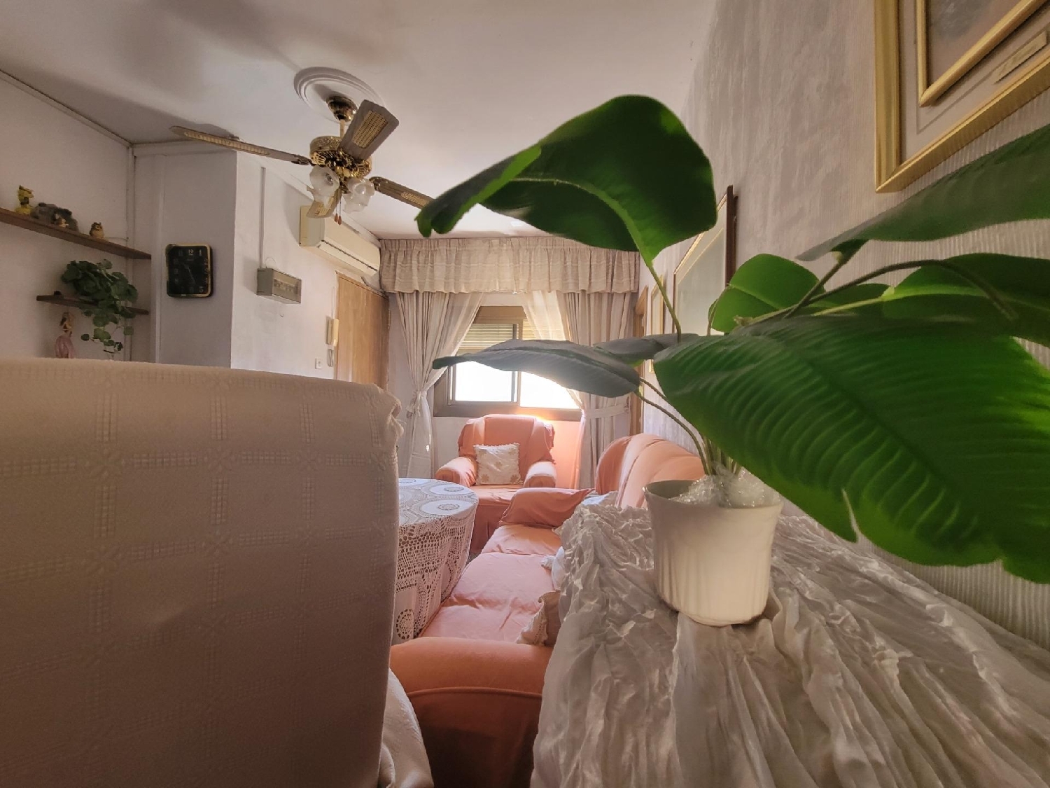  en venta apartamento Palmeria Marina Alta 5