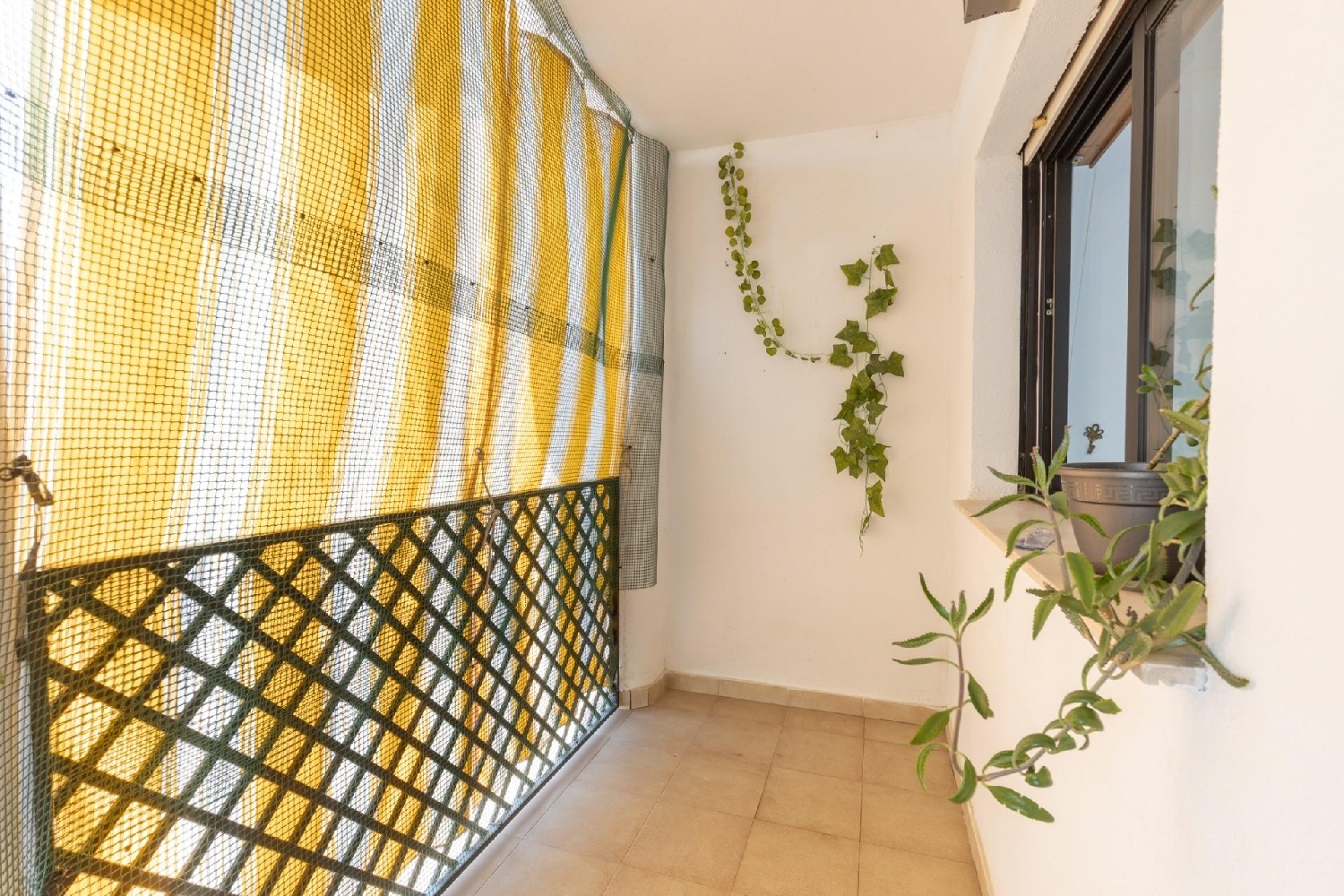 till salu lägenhet Pampaneira Alpujarra Granadina 3