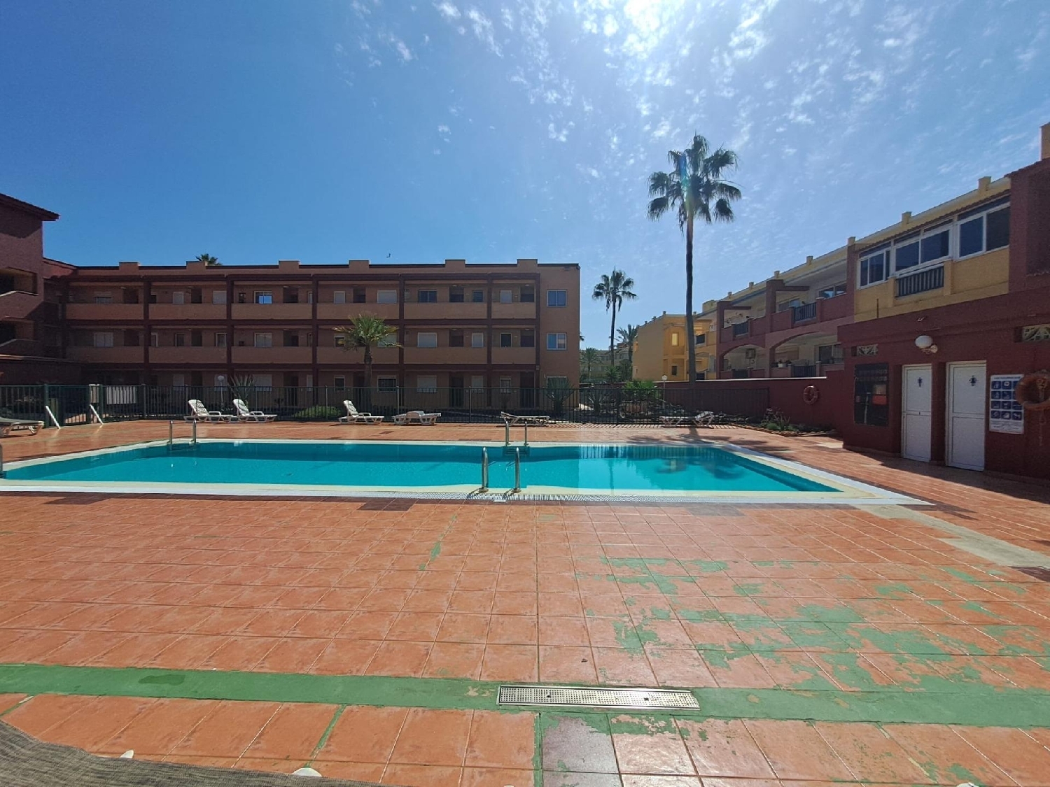  à vendre appartement Parque Holandés Oliva (La) 7