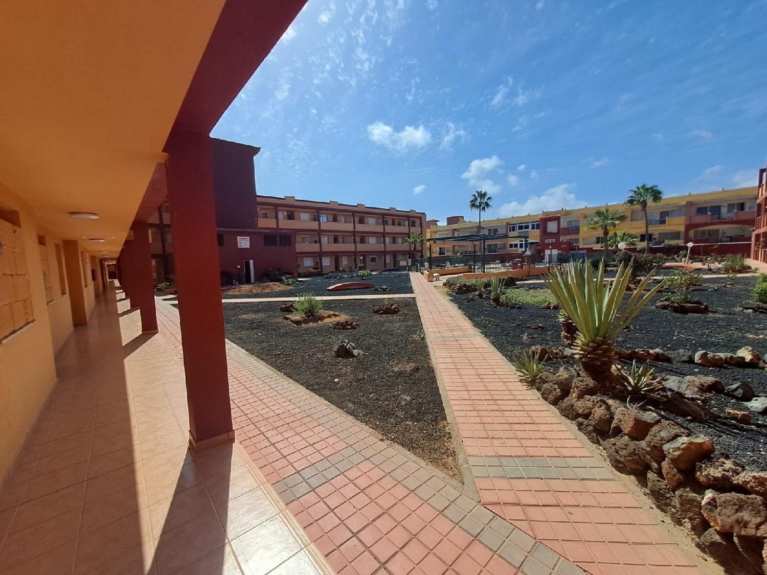  à vendre appartement Parque Holandés Oliva (La) 6
