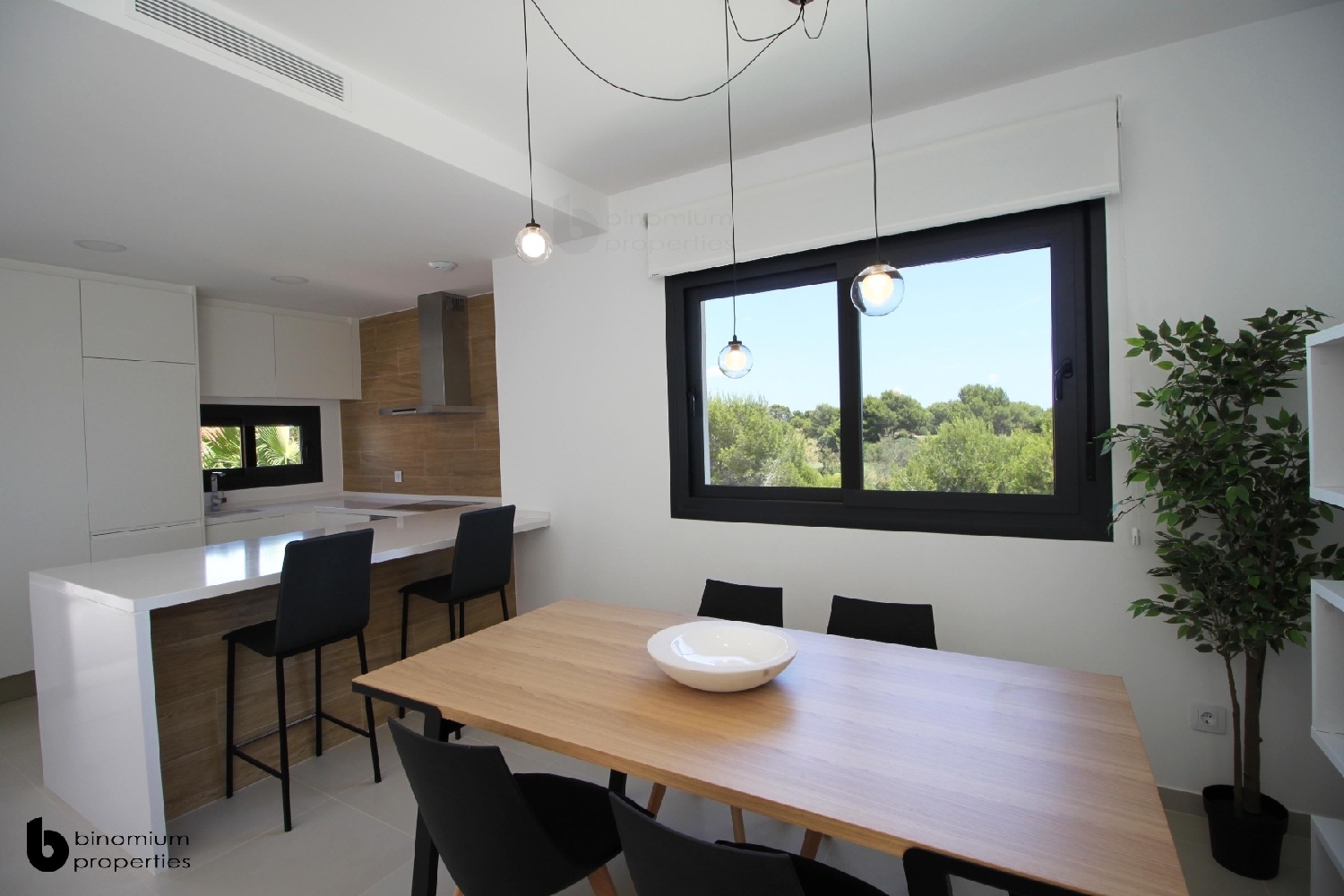  à vendre appartement Pilar De La Horadada Baix Segura 8