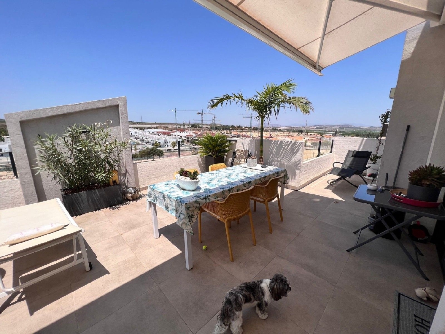 te koop appartement San Miguel De Salinas Baix Segura 2