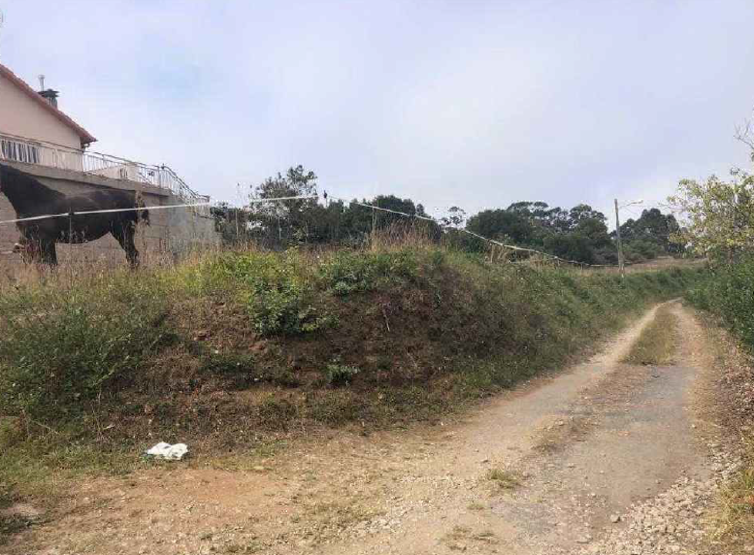  kaufen Wohnung Sanxenxo Salnés 1
