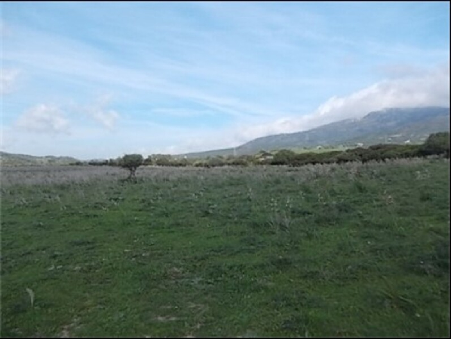 kaufen Wohnung Tarifa Campo De Gibraltar 3