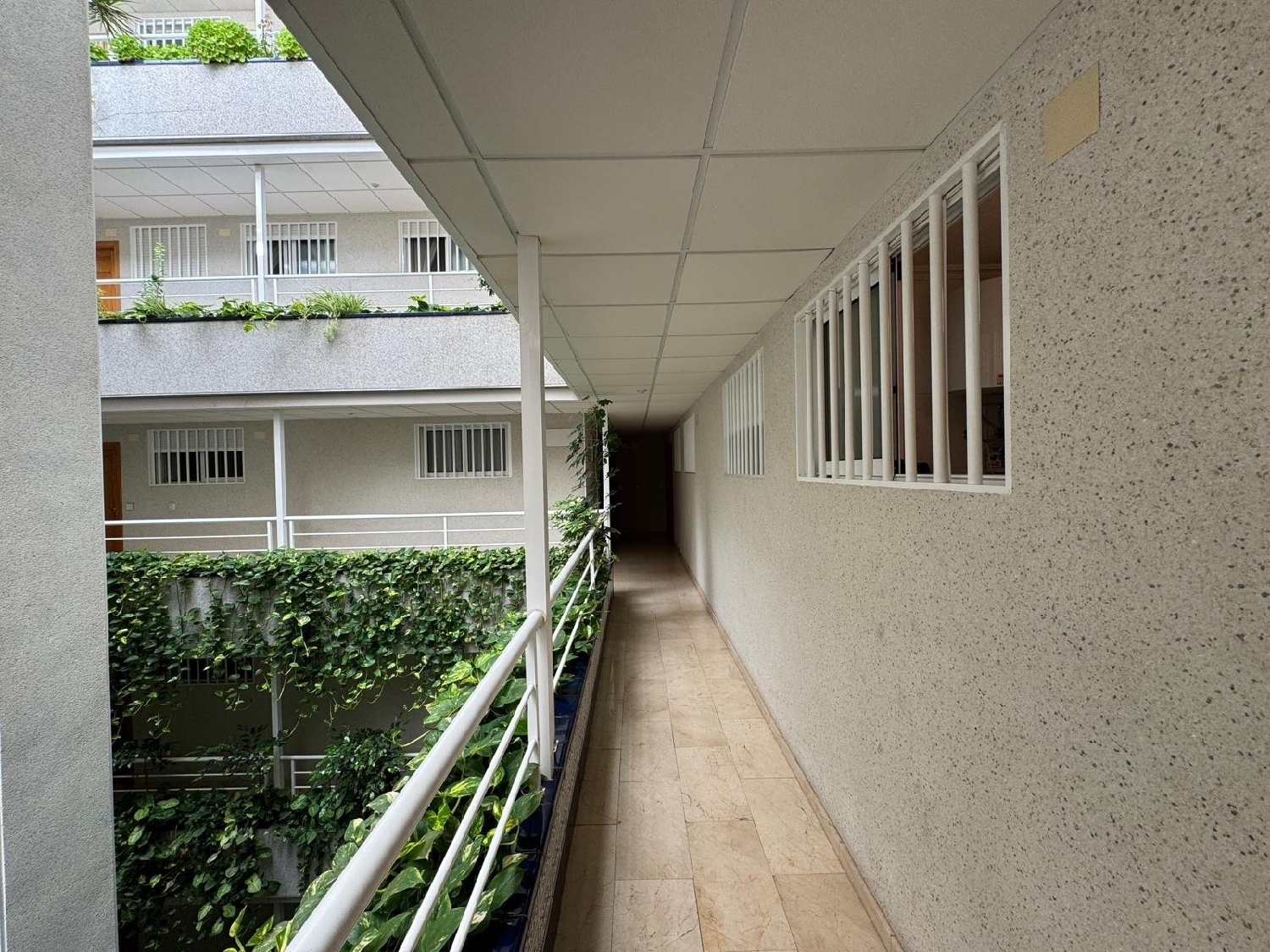 kaufen Wohnung Torrevieja Baix Segura 2