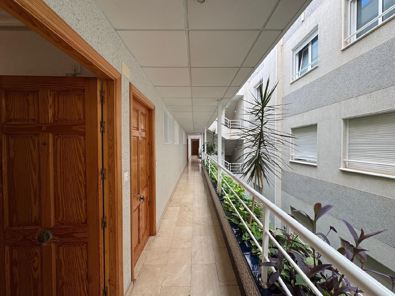 kaufen Wohnung Torrevieja Baix Segura 3