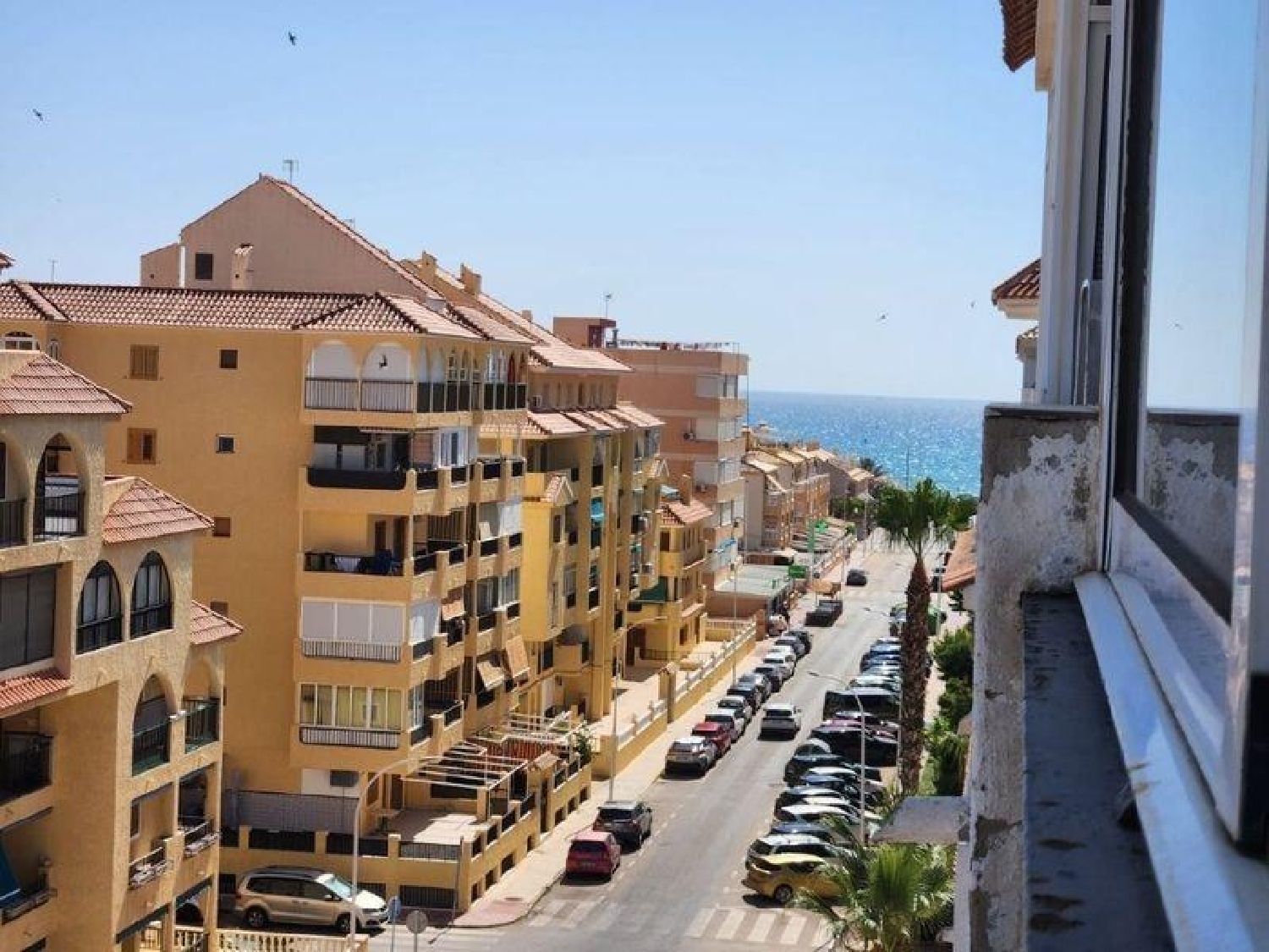  à vendre appartement Torrevieja Baix Segura 6