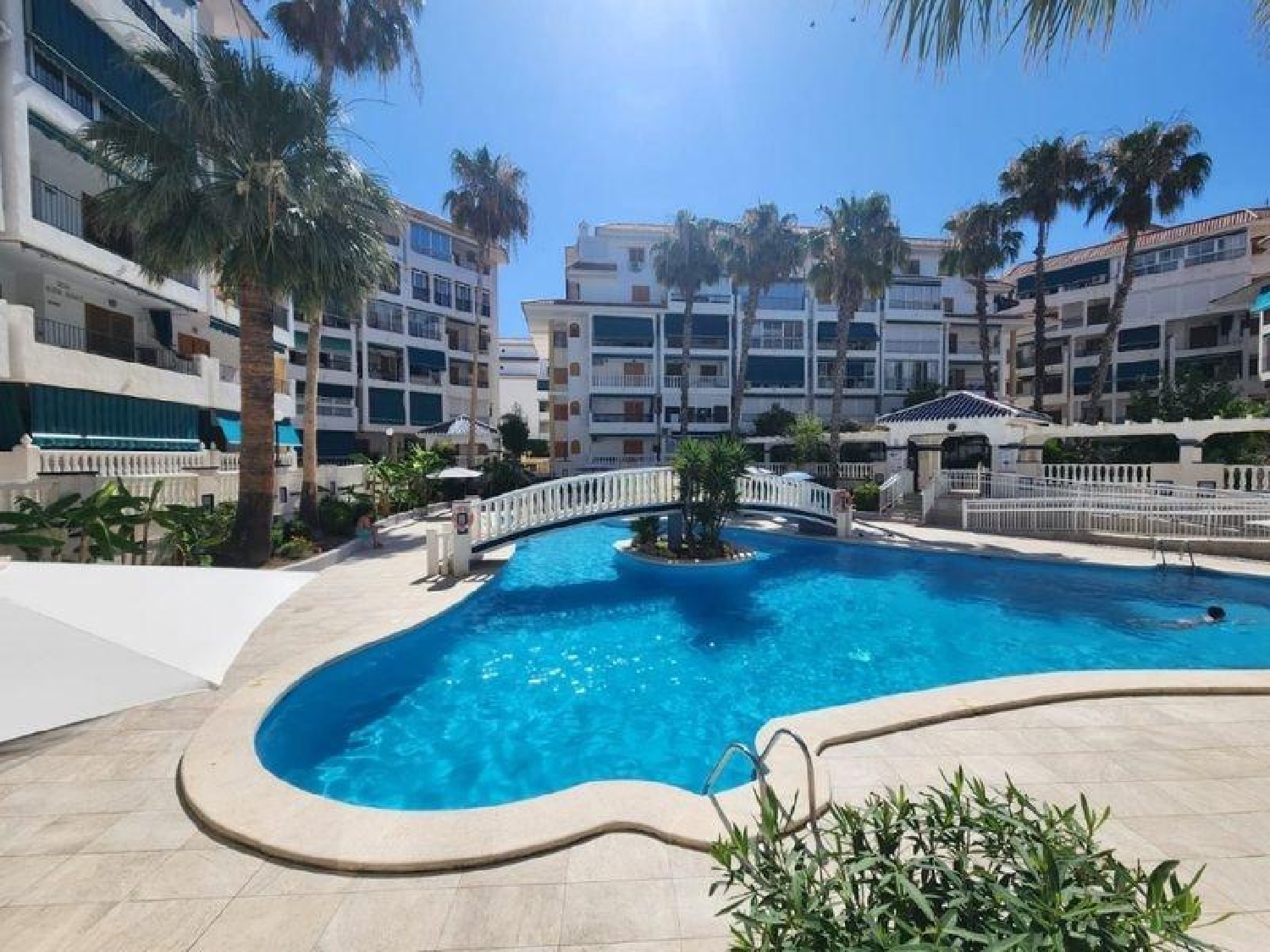  à vendre appartement Torrevieja Baix Segura 1