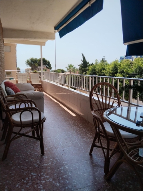 Torrevieja Baix Segura Wohnung Bild 6279884