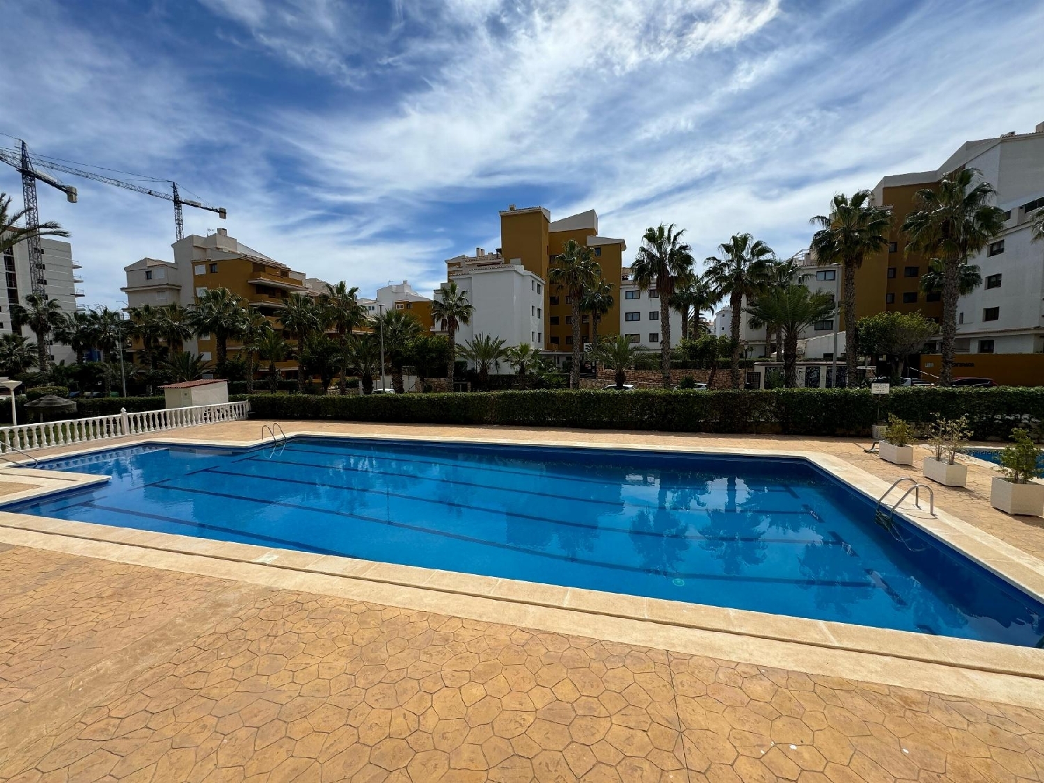  till salu lägenhet Torrevieja Baix Segura 1