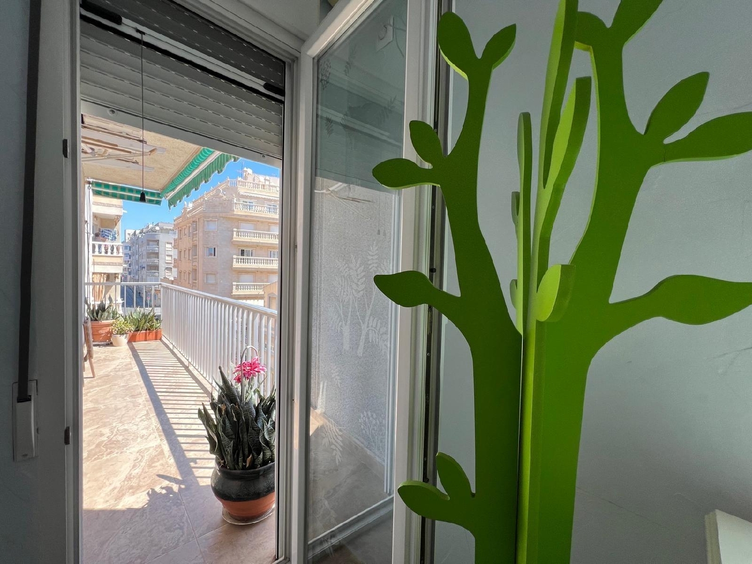  en venta apartamento Torrevieja Baix Segura 7