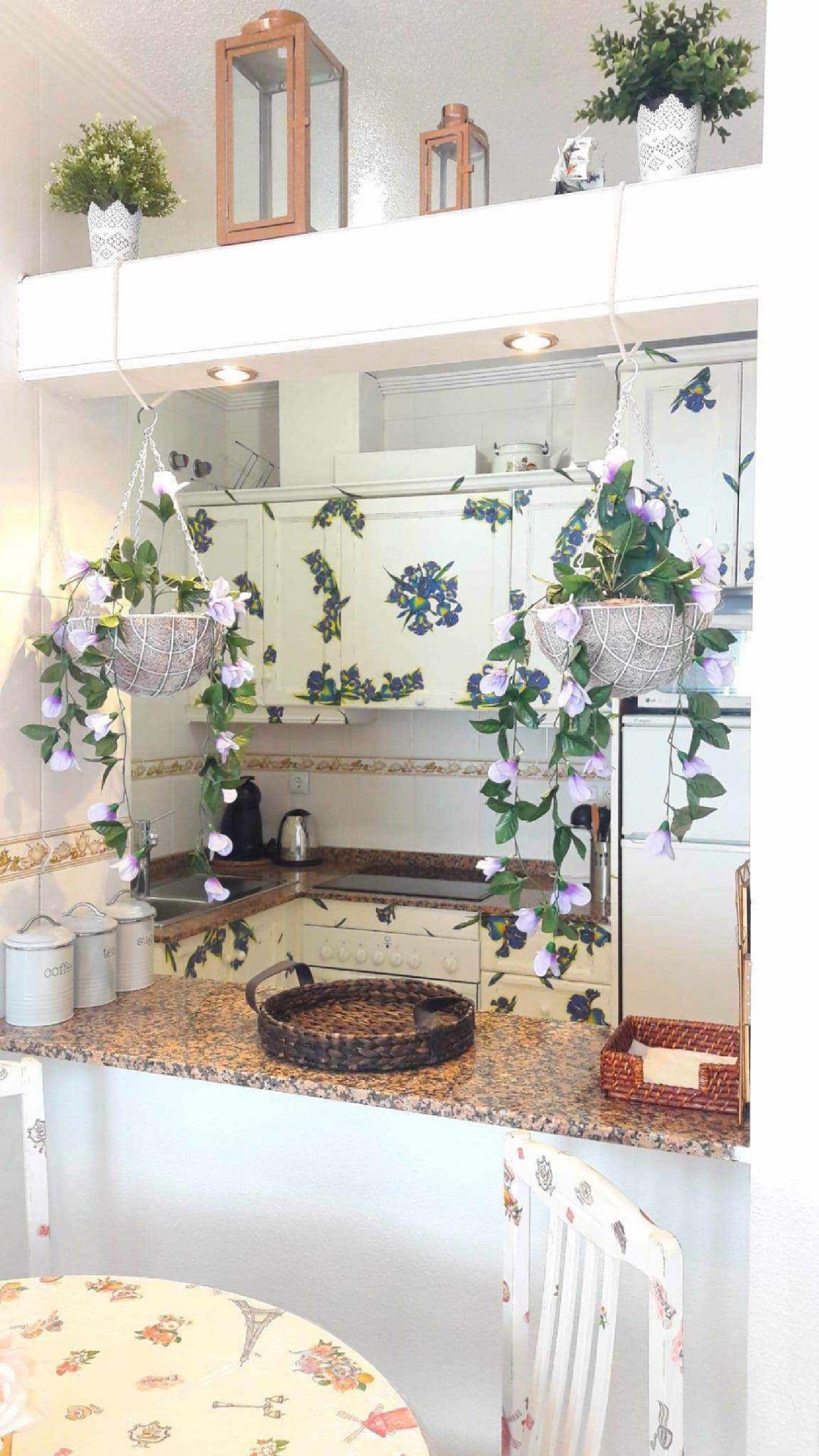 en venta apartamento Torrevieja Baix Segura 3
