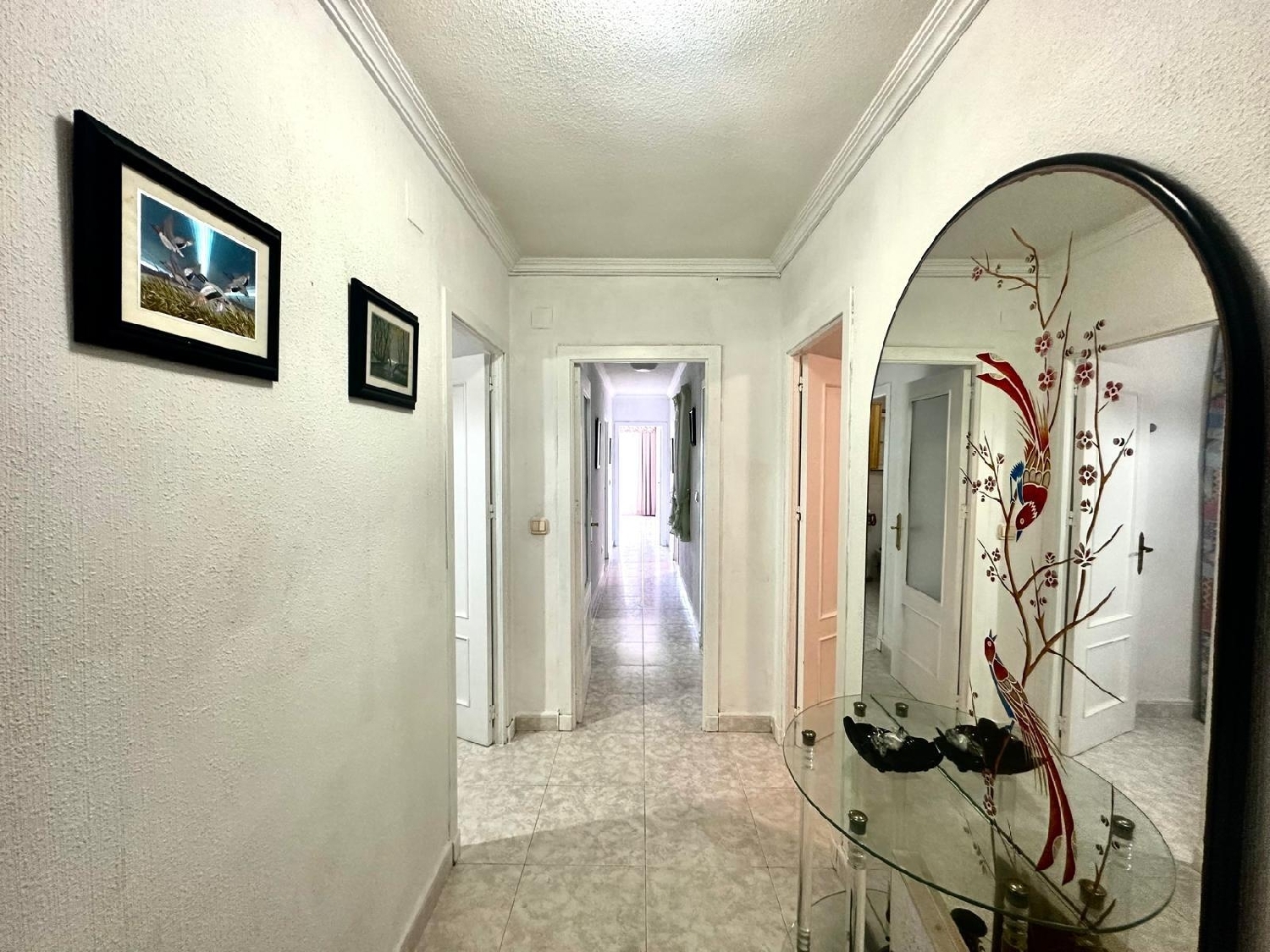  en venta apartamento Torrevieja Baix Segura 6