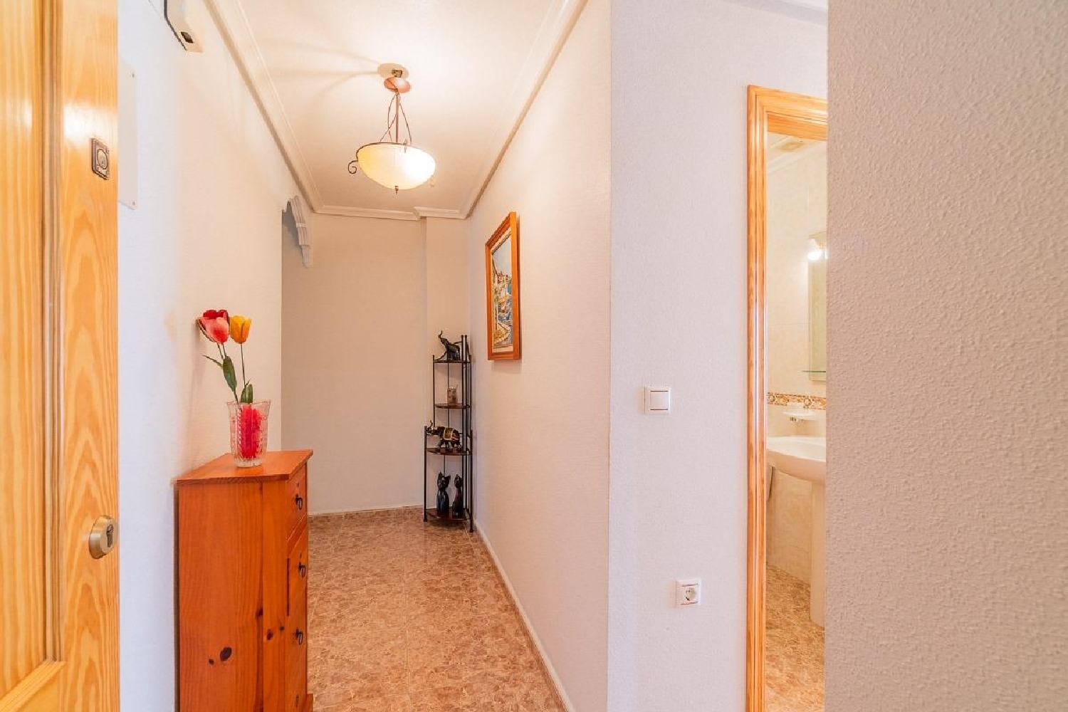  à vendre appartement Torrevieja Baix Segura 25