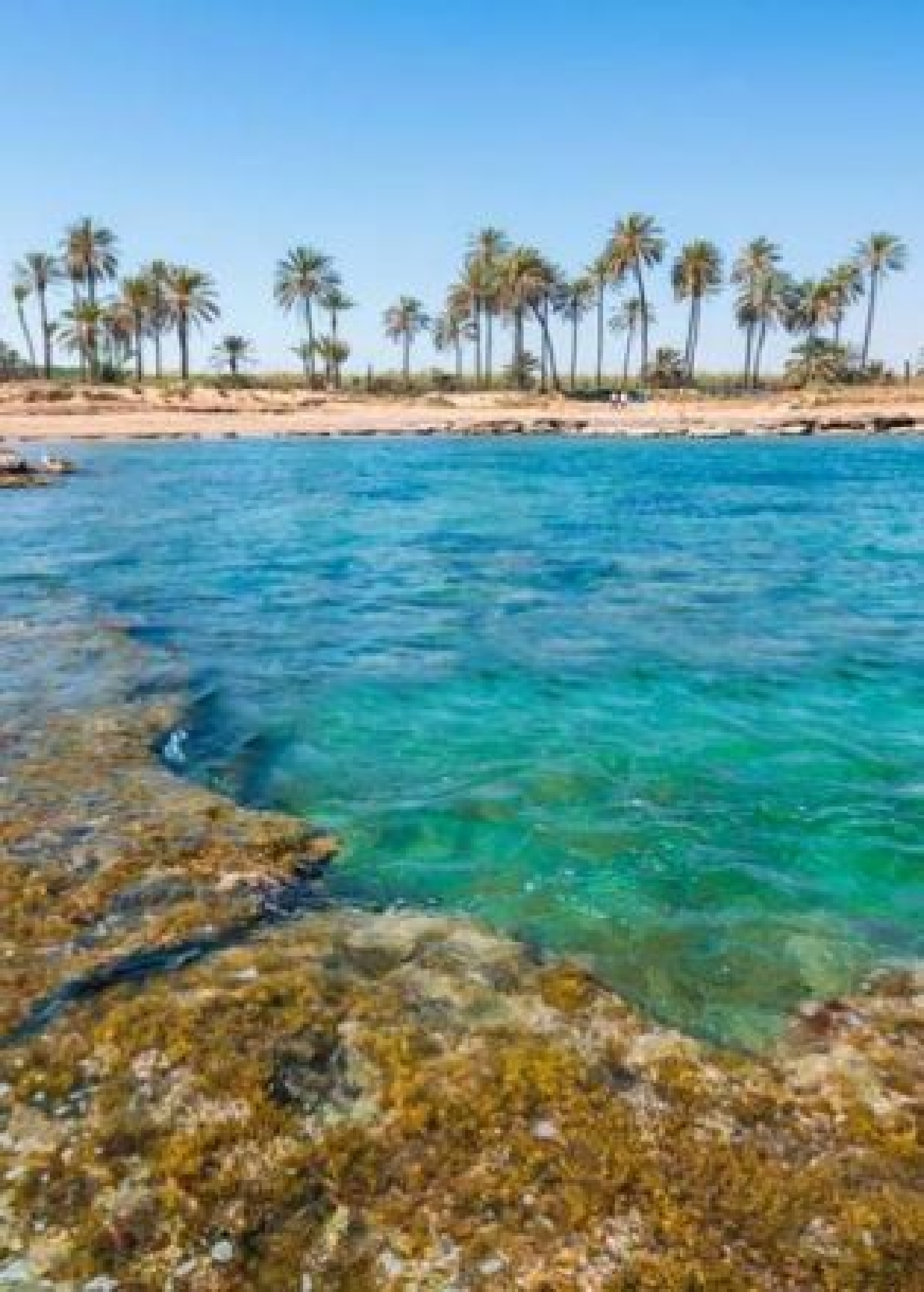  à vendre appartement Torrevieja Baix Segura 4
