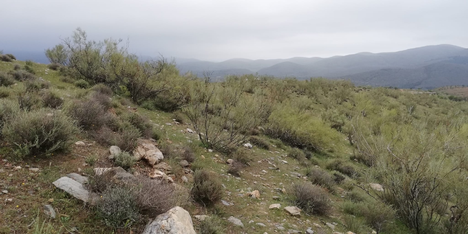  kaufen Wohnung Ugíjar Alpujarra Granadina 5