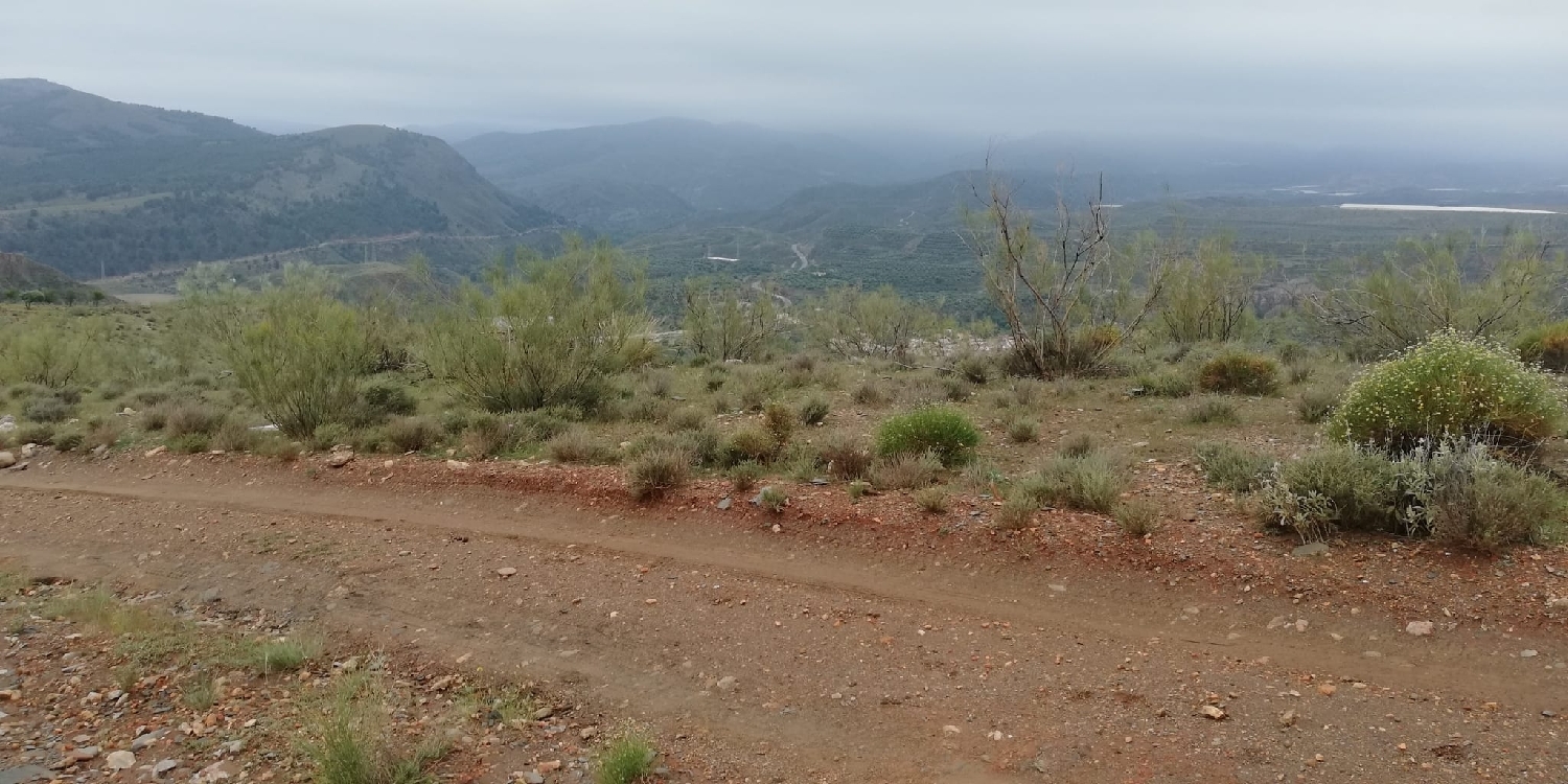  kaufen Wohnung Ugíjar Alpujarra Granadina 4