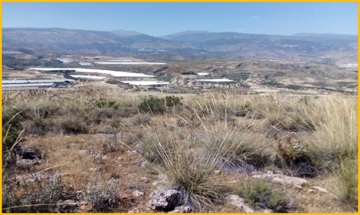  kaufen Wohnung Ugíjar Alpujarra Granadina 1