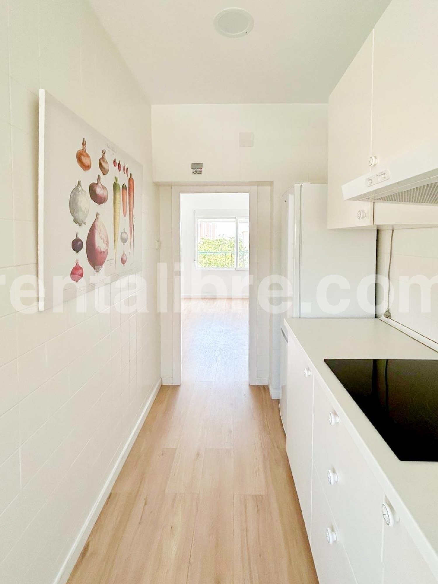  à vendre appartement Vejer De La Frontera Janda (La) 1