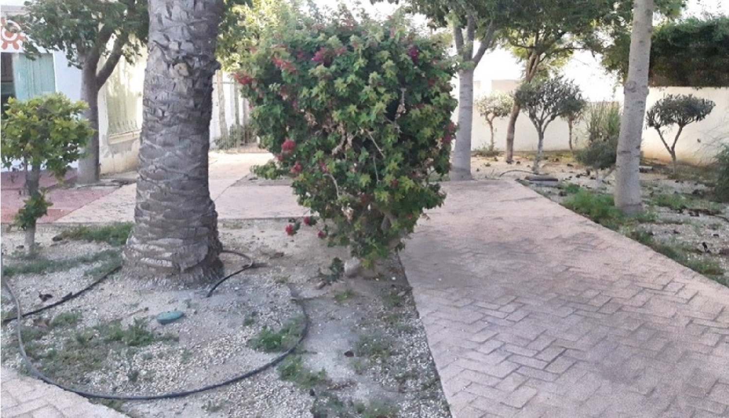  kaufen Wohnung Vera Playa Levante Almeriense 8