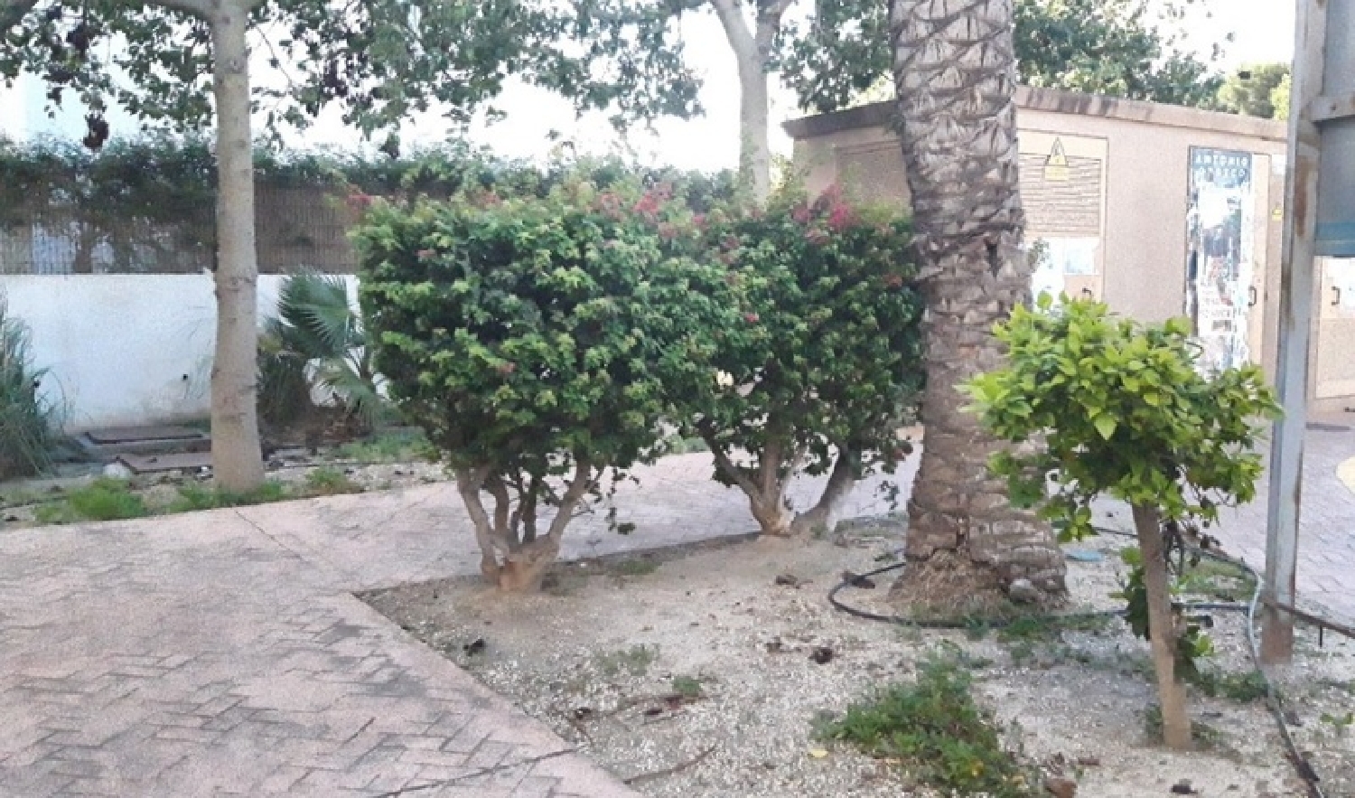 kaufen Wohnung Vera Playa Levante Almeriense 3