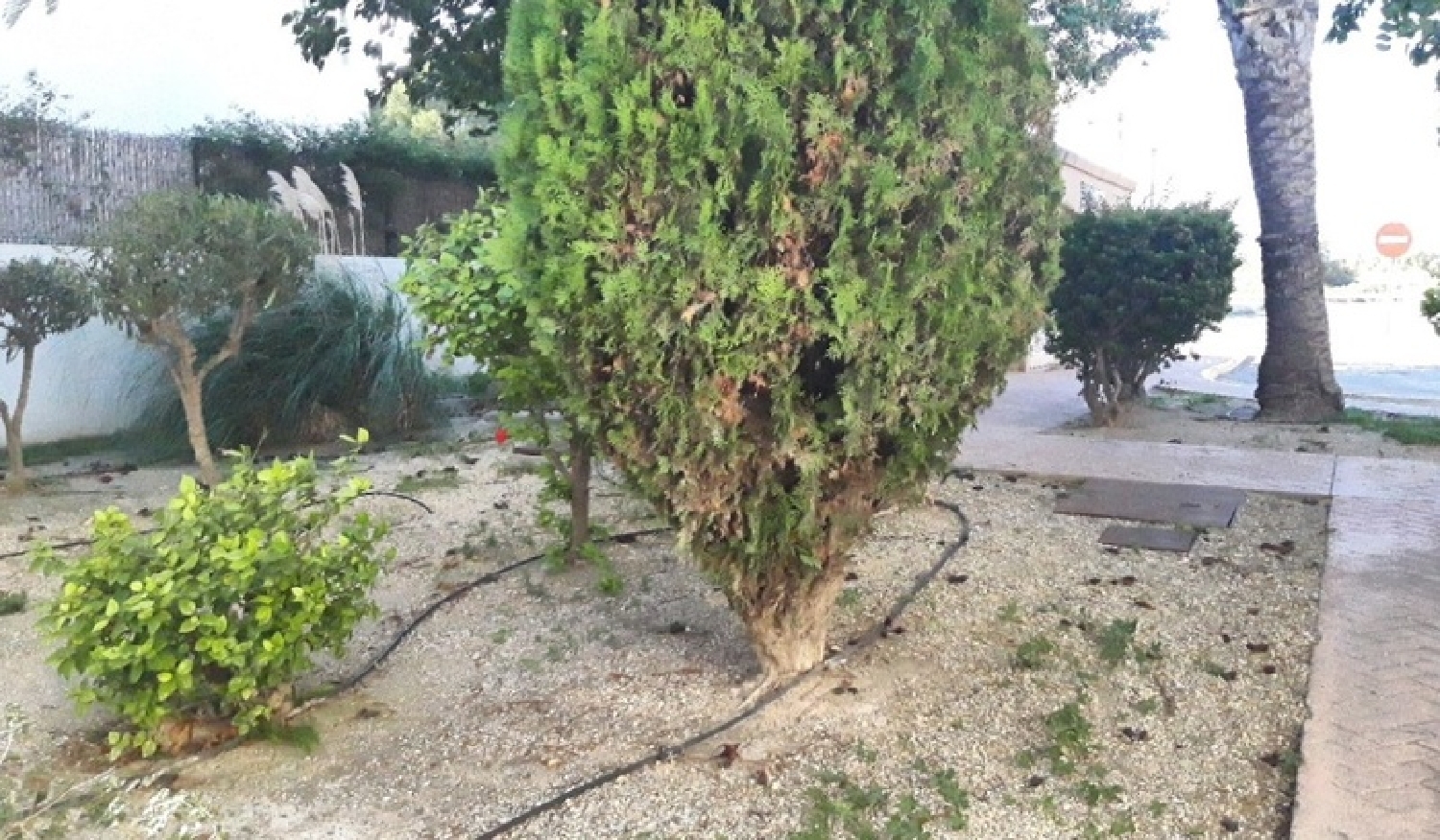  kaufen Wohnung Vera Playa Levante Almeriense 6