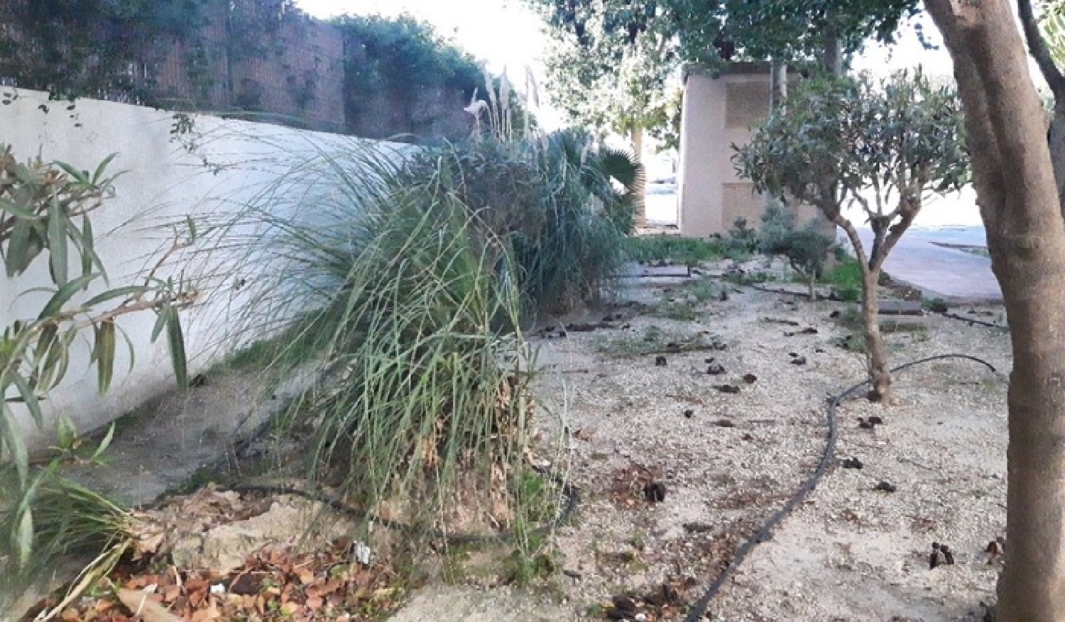  kaufen Wohnung Vera Playa Levante Almeriense 7