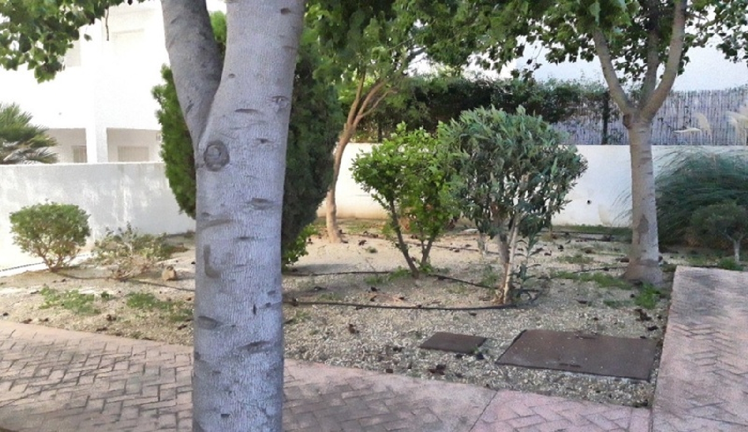 kaufen Wohnung Vera Playa Levante Almeriense 2
