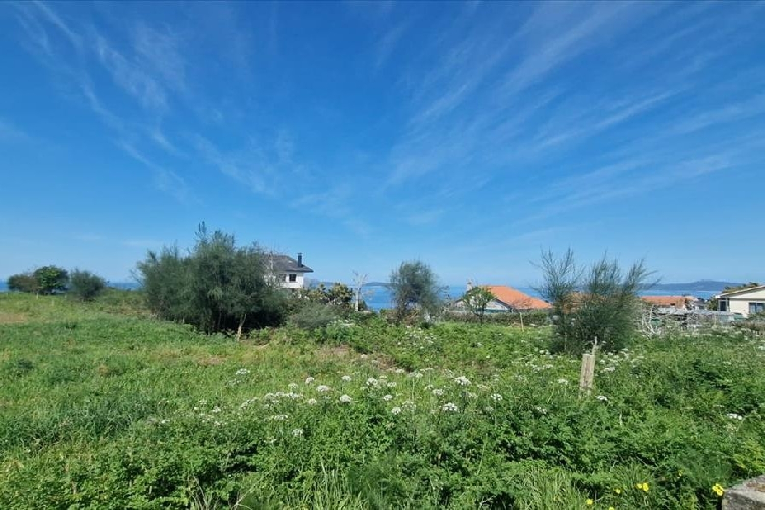 kaufen Wohnung Vigo Vigo 3