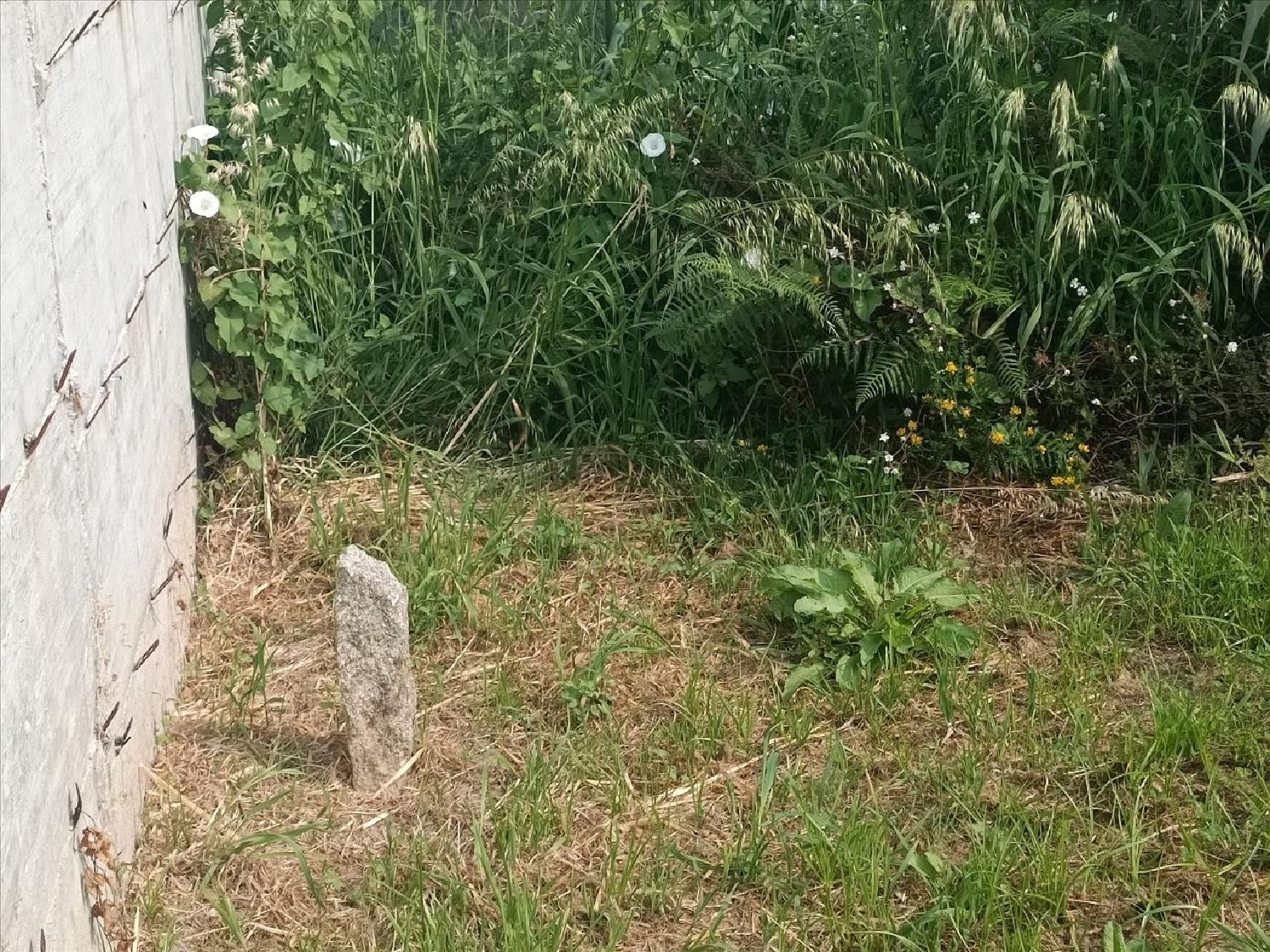  kaufen Wohnung Vigo Vigo 8