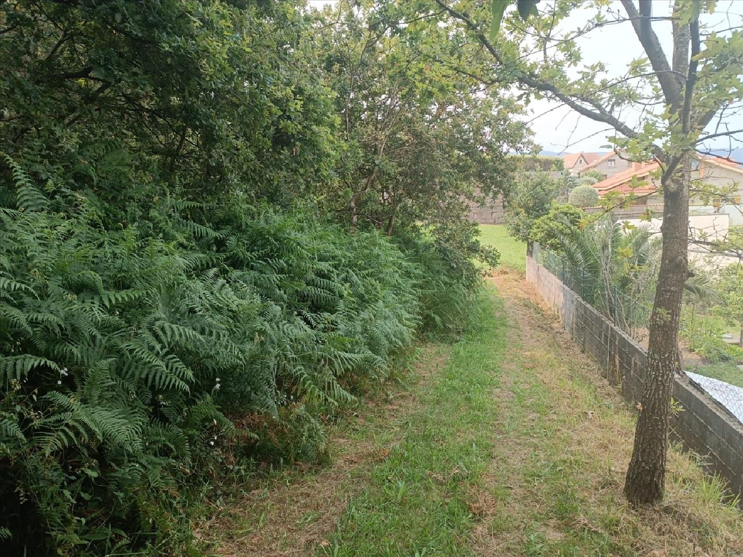  kaufen Wohnung Vigo Vigo 6