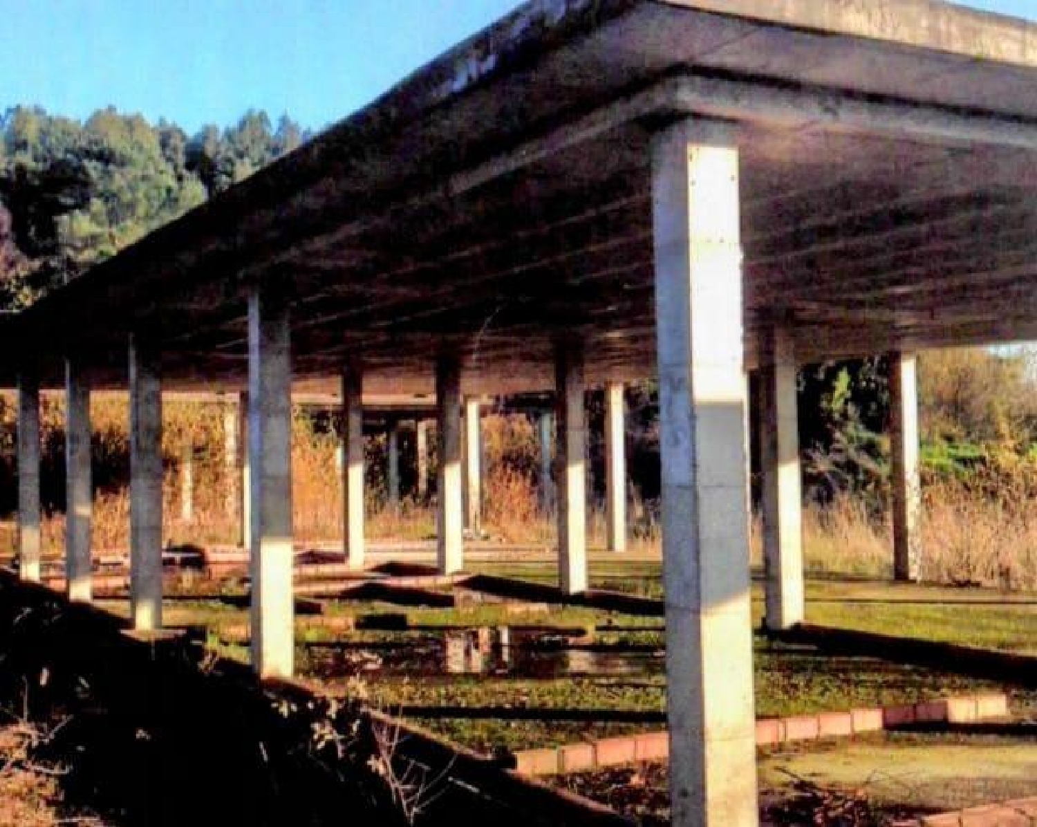 en venta edificio Irixoa Betanzos 5