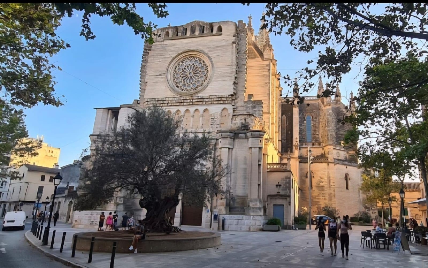  kaufen Gebäude Manacor Llevant 4